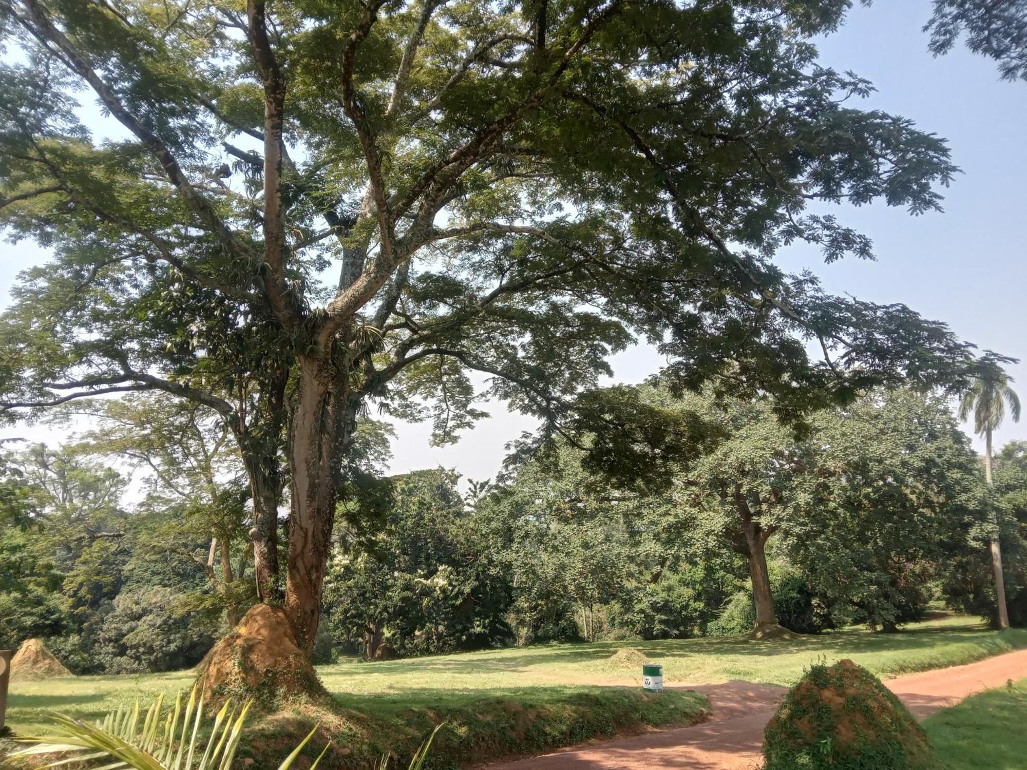Mowicribs Hotel And Spa Entebbe Quarto foto
