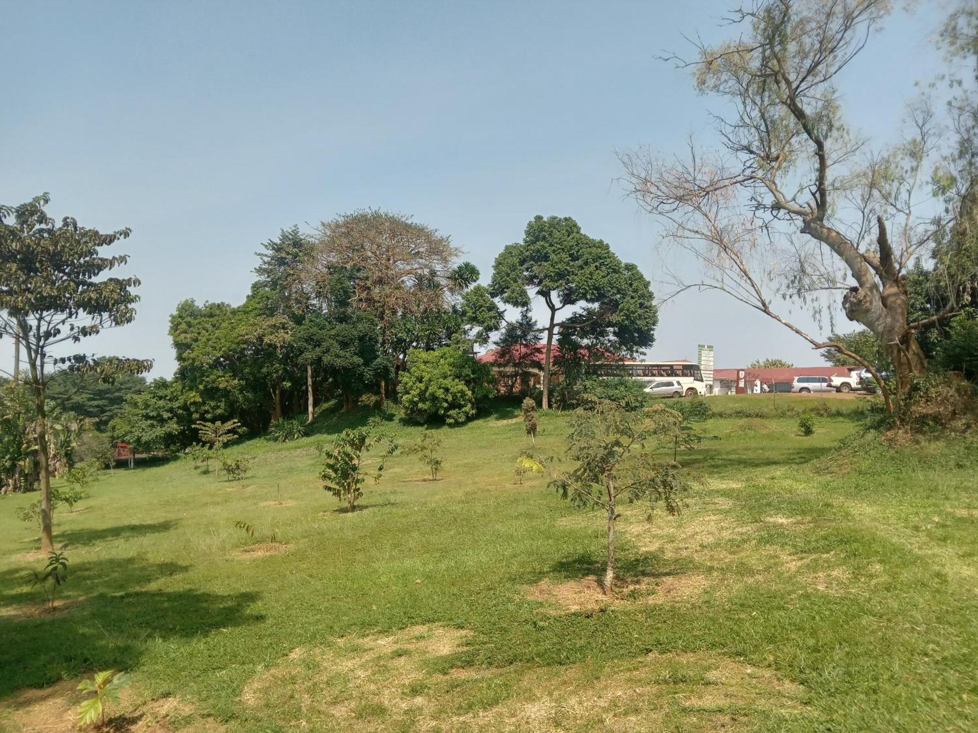 Mowicribs Hotel And Spa Entebbe Quarto foto