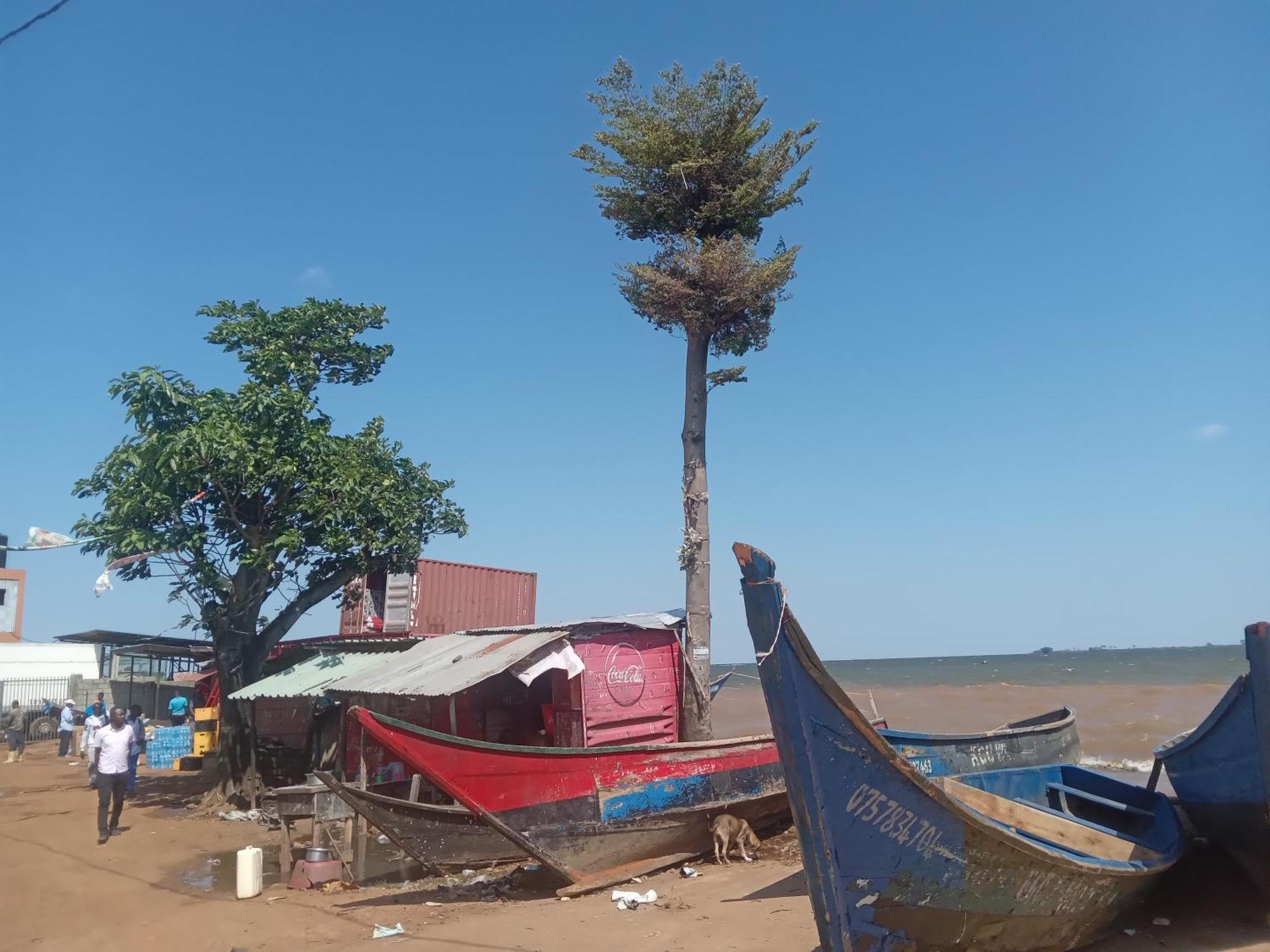 Mowicribs Hotel And Spa Entebbe Quarto foto